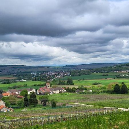 Le Coq De Champagne Villa Dormans ภายนอก รูปภาพ
