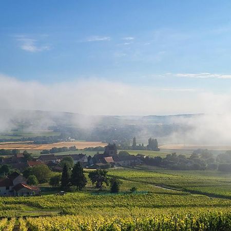 Le Coq De Champagne Villa Dormans ภายนอก รูปภาพ