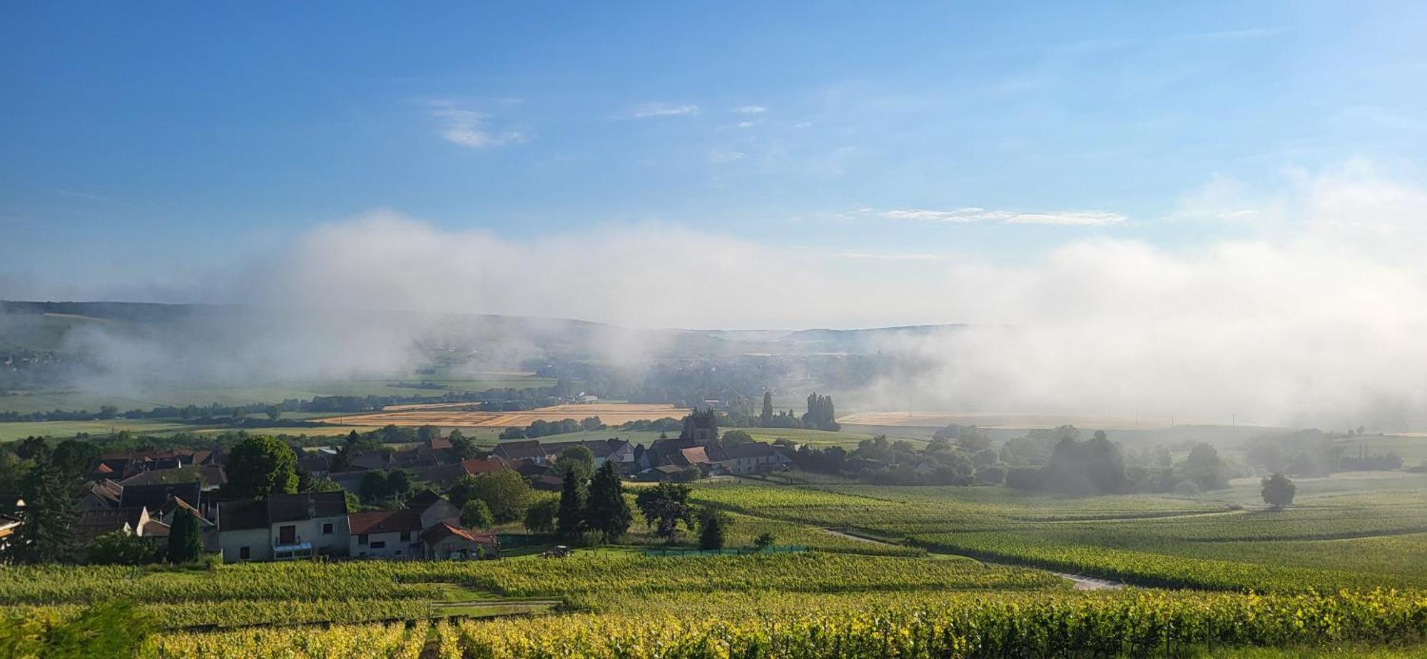 Le Coq De Champagne Villa Dormans ภายนอก รูปภาพ